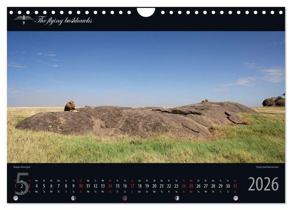 Produktbild: Tansania Blickwinkel 2026 (Wandkalender 2026 DIN A4 quer), CALVENDO Monatskalender