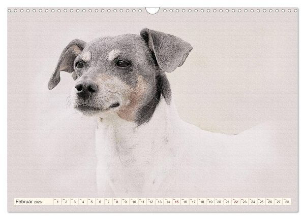Produktbild: Bodeguero Andaluz 2026 (Wandkalender 2026 DIN A3 quer), CALVENDO Monatskalender
