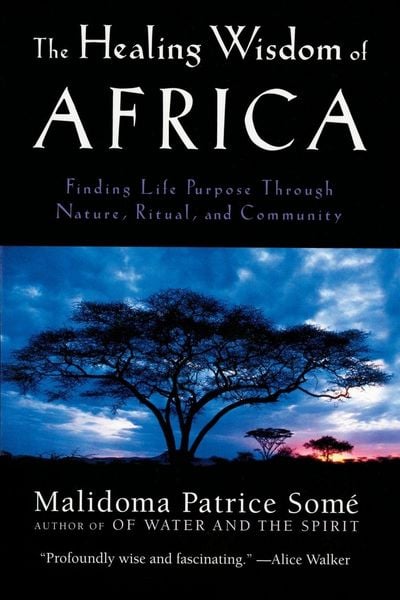 Produktbild: The Healing Wisdom of Africa