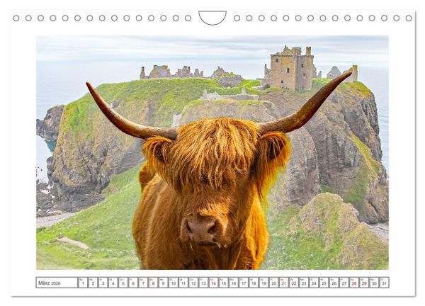 Produktbild: Schottland - eine Rundreise (Wandkalender 2026 DIN A4 quer), CALVENDO Monatskalender