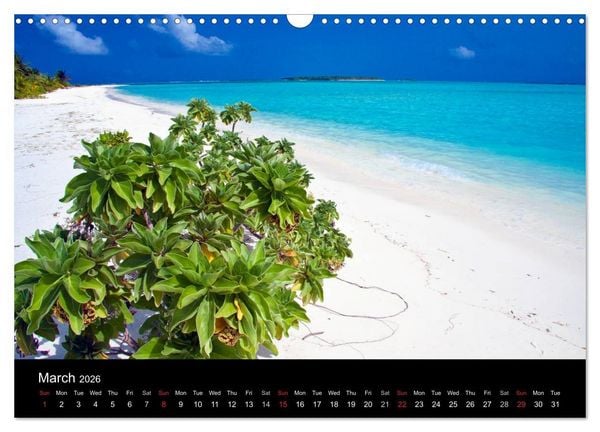 Produktbild: Amazing Maldives (Wall Calendar 2026 DIN A3 landscape), CALVENDO 12 Month Wall Calendar