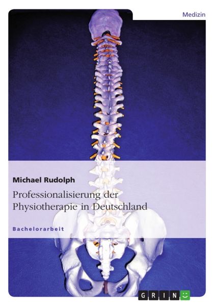 Produktbild: Professionalisierung der Physiotherapie in Deutschland