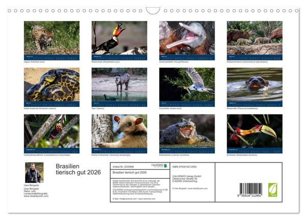 Produktbild: Brasilien tierisch gut 2026 (Wandkalender 2026 DIN A3 quer), CALVENDO Monatskalender