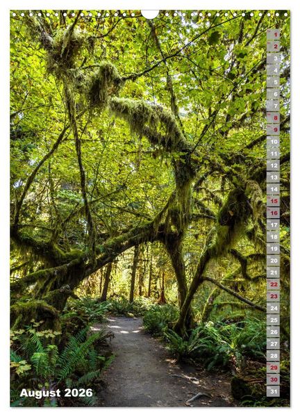 Produktbild: SEATTLE Imposante Stadt- und Naturimpressionen (Wandkalender 2026 DIN A3 hoch), CALVENDO Monatskalender