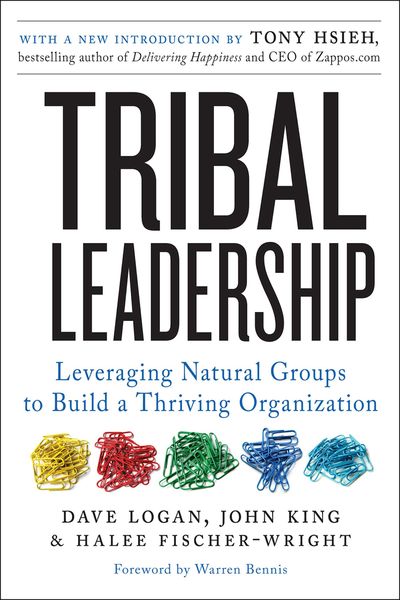 Produktbild: Tribal Leadership Revised Edition