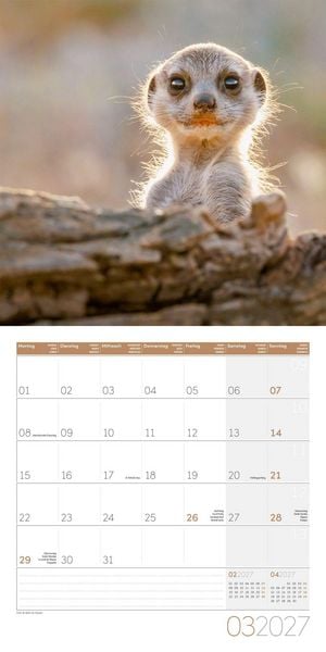 Produktbild: Erdm&auml;nnchen Kalender 2027 - 30x30 - Art12