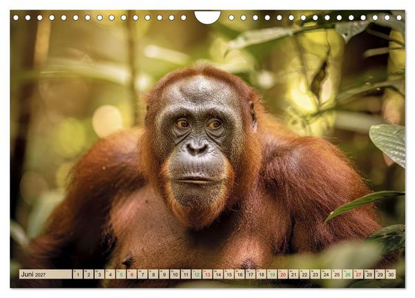 Produktbild: Die intelligentesten Tiere - Weltweit (Wandkalender 2027 DIN A4 quer), CALVENDO Monatskalender