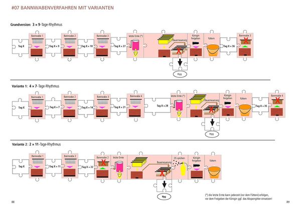 Produktbild: Varroamilbe