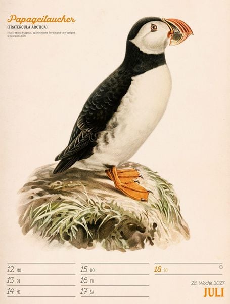 Produktbild: Wunderbare Vogelwelt Wochenplaner Kalender 2027