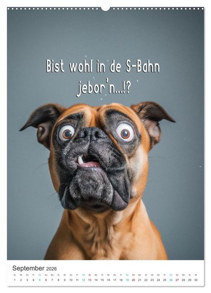 Produktbild: Lustige Tiere (Wandkalender 2026 DIN A2 hoch), CALVENDO Monatskalender