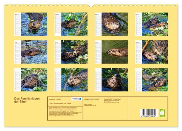 Produktbild: Das Familienleben der Biber (hochwertiger Premium Wandkalender 2026 DIN A2 quer), Kunstdruck in Hochglanz