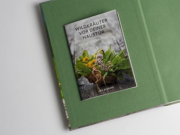 Produktbild: Wildkräuter vor deiner Haustür - Silbermedaille GAD 2022 - Deutscher Kochbuchpreis (bronze)