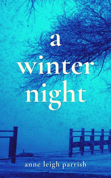 Produktbild: A Winter Night