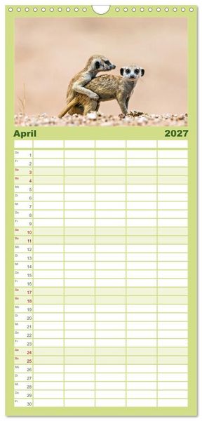Produktbild: Familienplaner 2027 - Afrikas Tierwelt - Erdm&auml;nnchen mit 5 Spalten (Wandkalender, 21 x 45 cm) CALVENDO
