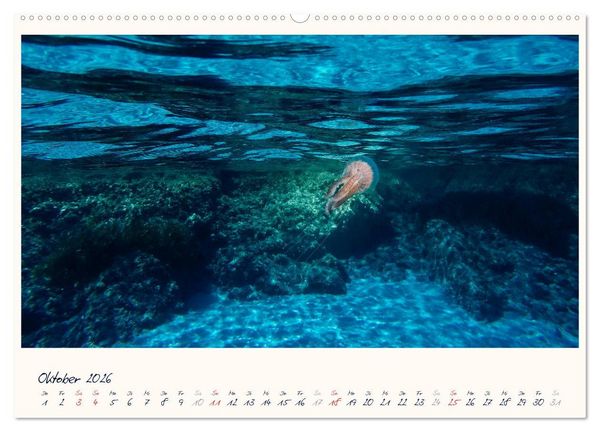 Produktbild: Korsika - Traumhafte K&uuml;sten am Mittelmeer (hochwertiger Premium Wandkalender 2026 DIN A2 quer), Kunstdruck in Hochglanz