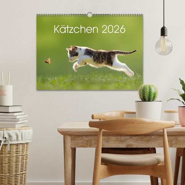 Produktbild: K&auml;tzchen 2026 (Wandkalender 2026 DIN A3 quer), CALVENDO Monatskalender