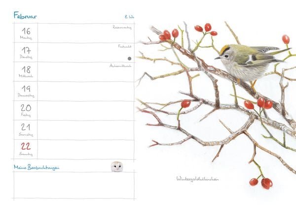 Produktbild: Mein Naturkalender 2026