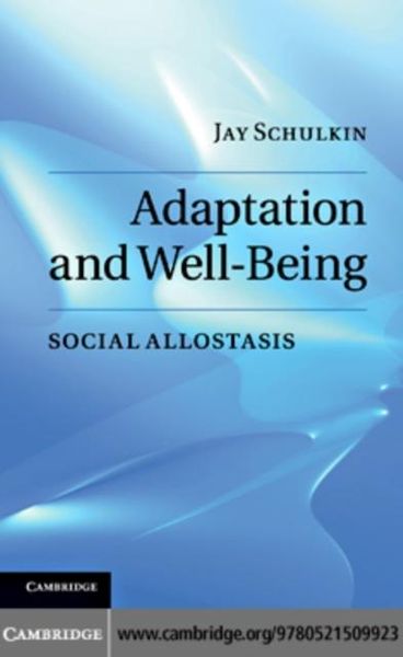 Produktbild: Adaptation and Well-Being