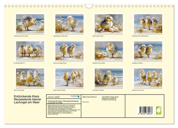 Produktbild: Entz&uuml;ckende Kiwis. Neuseelands kleiner Laufvogel am Meer (Wandkalender 2027 DIN A3 quer), CALVENDO Monatskalender
