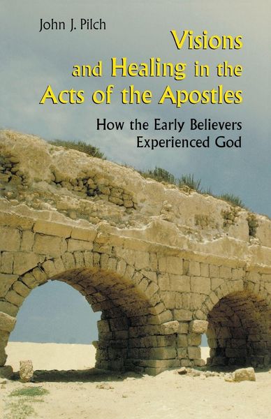 Produktbild: Visions and Healing in the Acts of the Apostles