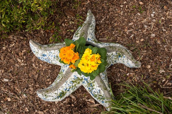 Produktbild: HTI-Living HTI-Line Pflanzgef&auml;&szlig; Mosaik Seestern HTI-Line Pflanzgef&auml;&szlig; Mosaik Seestern