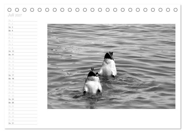Produktbild: Bilder vom See (Tischkalender 2027 DIN A5 quer), CALVENDO Monatskalender