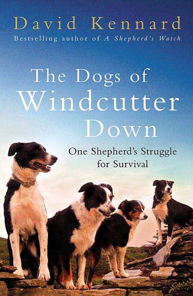 Produktbild: The Dogs of Windcutter Down: One Shepherd's Struggle for Survival