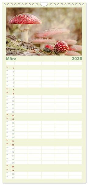 Produktbild: Familienplaner 2026 - Die Welt der Fliegenpilze mit 5 Spalten (Wandkalender, 21 x 45 cm) CALVENDO