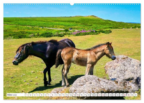 Produktbild: S&uuml;dengland - On the road in Devon und Cornwall (Wandkalender 2026 DIN A2 quer), CALVENDO Monatskalender