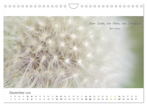 Produktbild: Rendezvous im Park (Wandkalender 2026 DIN A4 quer), CALVENDO Monatskalender