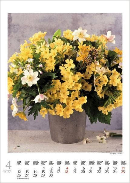 Produktbild: Blumenstr&auml;u&szlig;e 2027