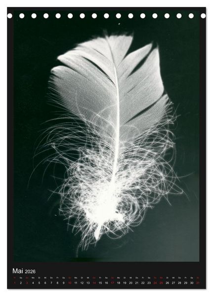 Produktbild: Anton Stankowski Fotogramme (Tischkalender 2026 DIN A5 hoch), CALVENDO Monatskalender