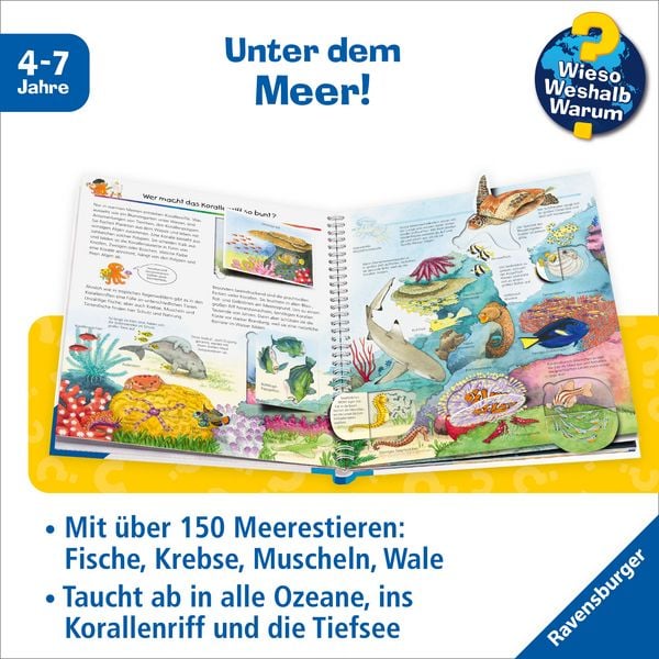 Produktbild: Wieso? Weshalb? Warum? Band 27 - Wir entdecken Meerestiere