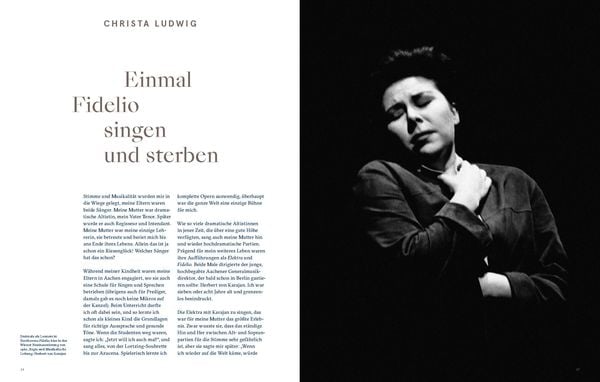Produktbild: VOICES: Pr&auml;gende Musik- und Theatererlebnisse
