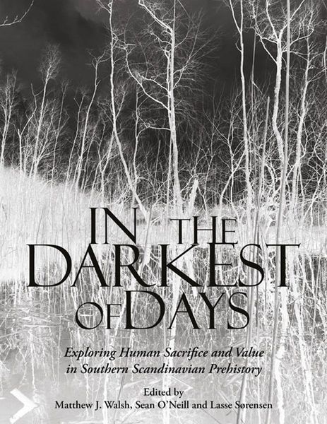 Produktbild: In the Darkest of Days