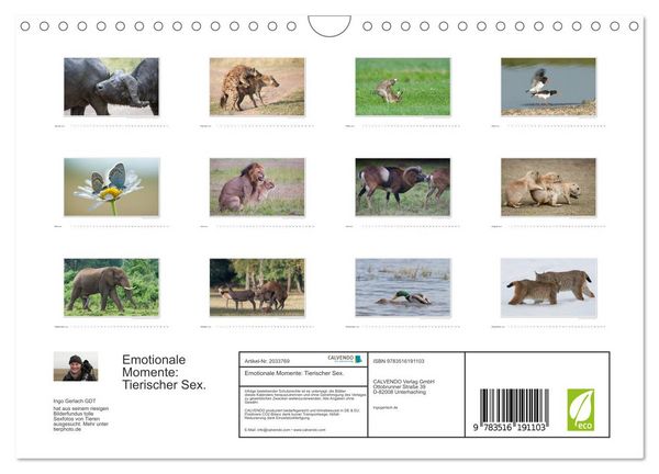 Produktbild: Emotionale Momente: Tierischer Sex. (Wandkalender 2026 DIN A4 quer), CALVENDO Monatskalender