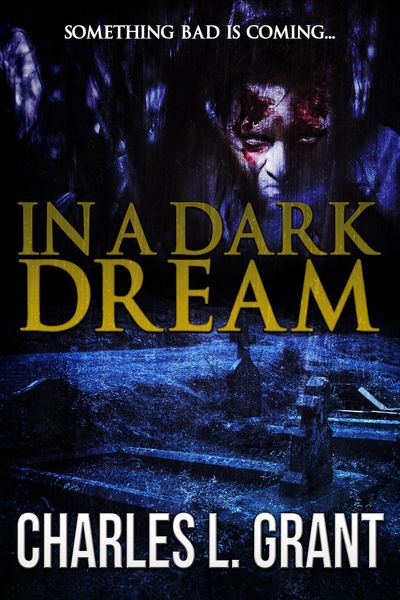 Produktbild: In a Dark Dream