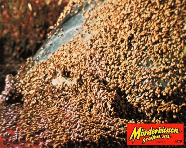 Produktbild: Killerbienen I - Die M&ouml;rderbienen greifen an (The Savage Bees) (Filmjuwelen)