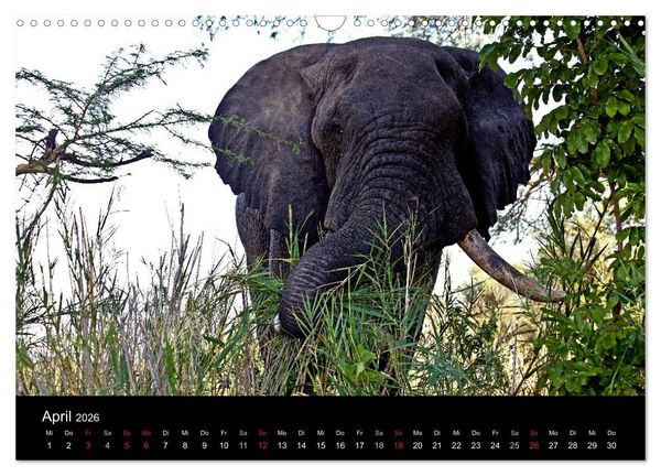 Produktbild: Malawi (Wandkalender 2026 DIN A3 quer), CALVENDO Monatskalender