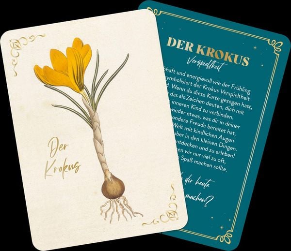 Produktbild: Die geheimnisvolle Sprache der Blumen &ndash; 50 Orakelkarten f&uuml;r das ganze Jahr