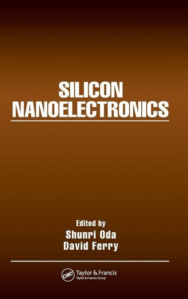 Produktbild: Silicon Nanoelectronics