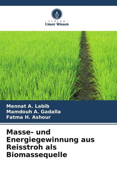 Produktbild: Masse- und Energiegewinnung aus Reisstroh als Biomassequelle