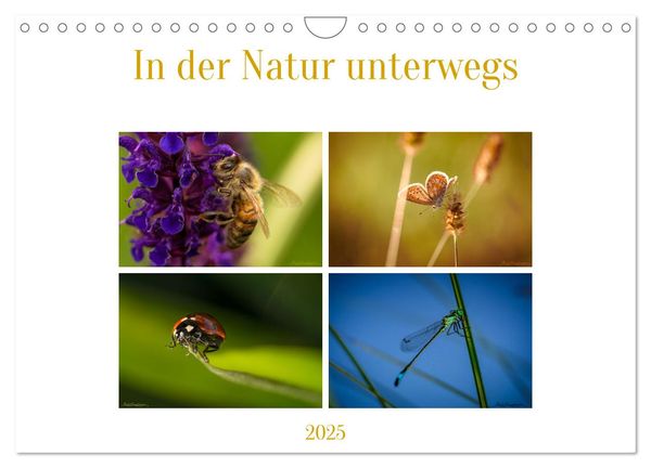 In der Natur unterwegs (Wandkalender 2025 DIN A4 quer), CALVENDO Monatskalender