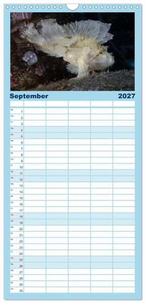 Produktbild: Familienplaner 2027 - Faszination blaue Unterwasserwelt mit 5 Spalten (Wandkalender, 21 x 45 cm) CALVENDO