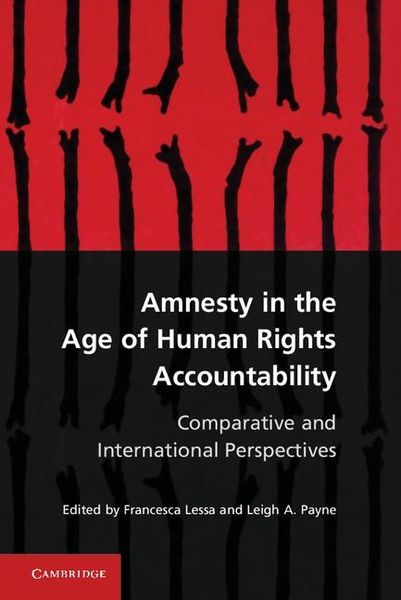 Produktbild: Amnesty in the Age of Human Rights Accountability