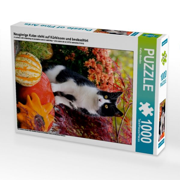 CALVENDO Puzzle Neugierige Katze steht auf Kürbissen und beobachtet | 1000 Teile Lege-Größe 64x48cm Foto-Puzzle für glückliche Stunden