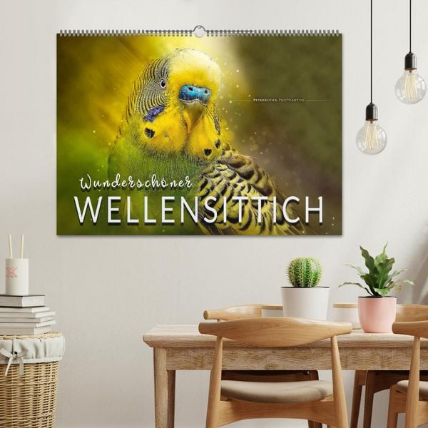 Produktbild: Wundersch&ouml;ner Wellensittich (Wandkalender 2026 DIN A2 quer), CALVENDO Monatskalender