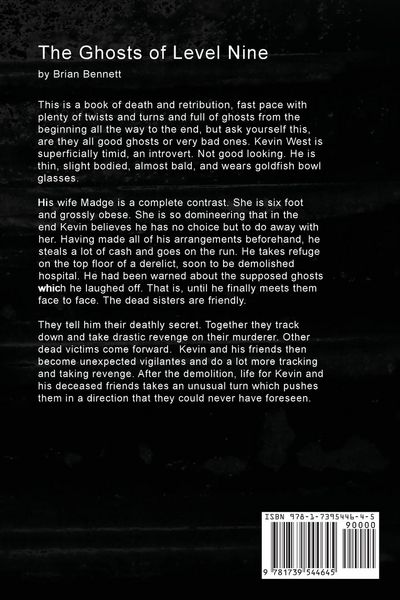 Produktbild: The Ghosts of Level Nine