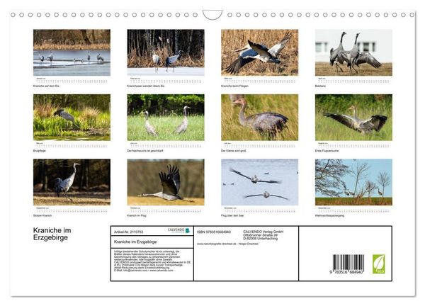 Produktbild: Kraniche im Erzgebirge (Wandkalender 2026 DIN A3 quer), CALVENDO Monatskalender