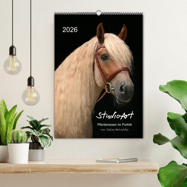 Produktbild: StudioArt Pferderassen im Portr&auml;t (Wandkalender 2026 DIN A2 hoch), CALVENDO Monatskalender